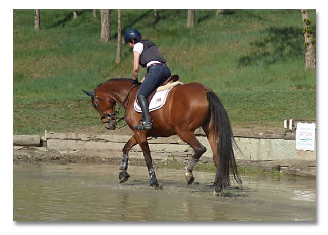 Carole met Naiade in de waterbak. De 12-jarige Selle Français-merrie kan het werk opnieuw gemakkelijk aan.